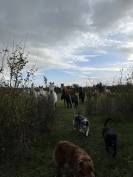 ? Recherche apprentissage BPJEPS 