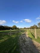 Ecurie de propri&eacute;taire 