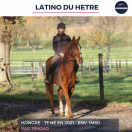 LATINO DU HETRE - TF - 4 ANS