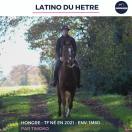 LATINO DU HETRE - TF - 4 ANS