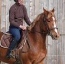 OASIS, Élégance dorée et puissance tranquille