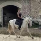 Entier PFS crème à louer pour saillies 2026