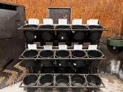 Chariot ration chevaux écurie