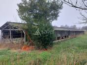 Sheep farm  Dordogne