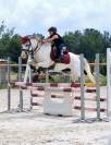 Poney de sport Welsh 