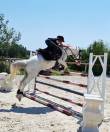 Poney de sport Welsh 