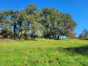 Corps de ferme 3ha50 Cordes-sur-Ciel Albi