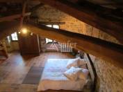 Exploitation agricole gîte 11ha Gaillac Albi Cordes sur Ciel