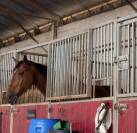 Recherche propriétaire pour pension 