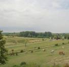 Recherche propriétaire pour pension 