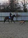 PONEY SPORT & LOISIRS PFS 4 ANS 2026