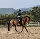 BWP de 12 ans Maitre d’Ecole