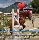 Poney D polyvalente et de grande qualité