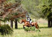 Ponette de sport 