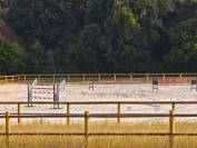 Locations Ecuries de 13 boxes + 2 hectares de prés