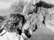 Ânes ânesses anons 