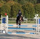 Recherche Dp pour mon poney de 7 ans 