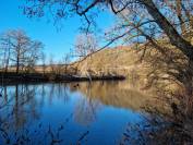 Azienda orticoltrice In vendita Lot