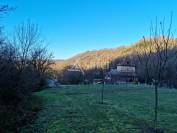 Azienda orticoltrice In vendita Lot