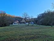 Azienda orticoltrice In vendita Lot