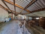 Azienda agricola In vendita Lot