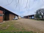 Azienda ovina In vendita Lot