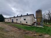 Azienda ovina In vendita Lot