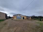 Azienda ovina In vendita Lot