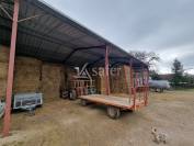 Azienda ovina In vendita Lot