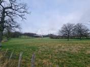 Azienda ovina In vendita Lot