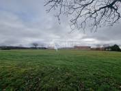 Azienda ovina In vendita Lot