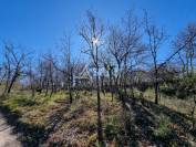 RARE - Propriété au coeur du Quercy Blanc