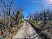 RARE - Propriété au coeur du Quercy Blanc