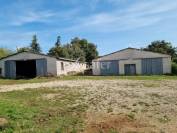 Azienda ovina In vendita Lot