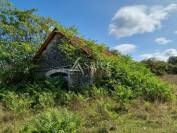 Azienda ovina In vendita Lot