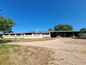 Sheep farm  Lot