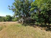 Sheep farm  Lot