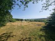 Azienda agricola In vendita Lot