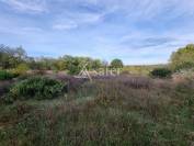 Azienda agricola In vendita Lot