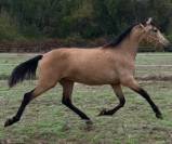  un pari gagnant sur les deux plans