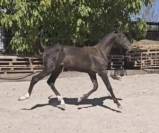 Pariez sur elle, vous avez tout à y gagner