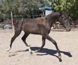 Pariez sur elle, vous avez tout à y gagner