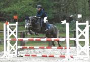 Ponette connemara 8 ans