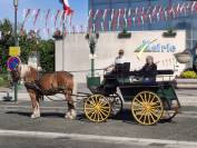 véhicule hypomobile modele sandra