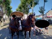 JUMENT DE TRAIT POSTIER BRETON