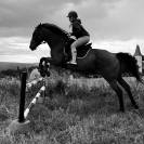 Jument Pur-sang anglaise 