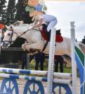 Superbe pouliche sport WELSH X Barbe