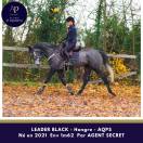 AQPS 4 ans locomotion plaisante modèle plaisant