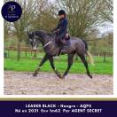 AQPS 4 ans locomotion plaisante modèle plaisant