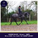 AQPS 4 ans locomotion plaisante modèle plaisant